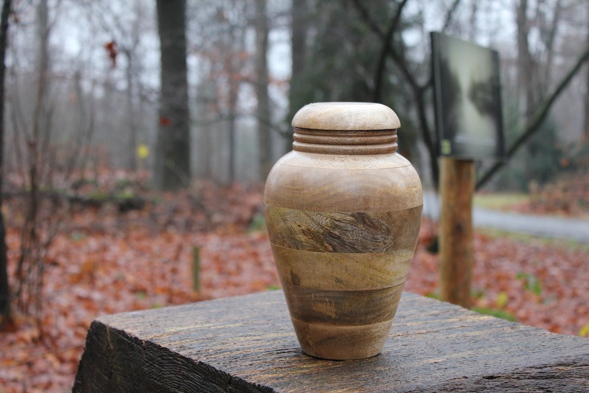 mangohouten urn de Slufter-4