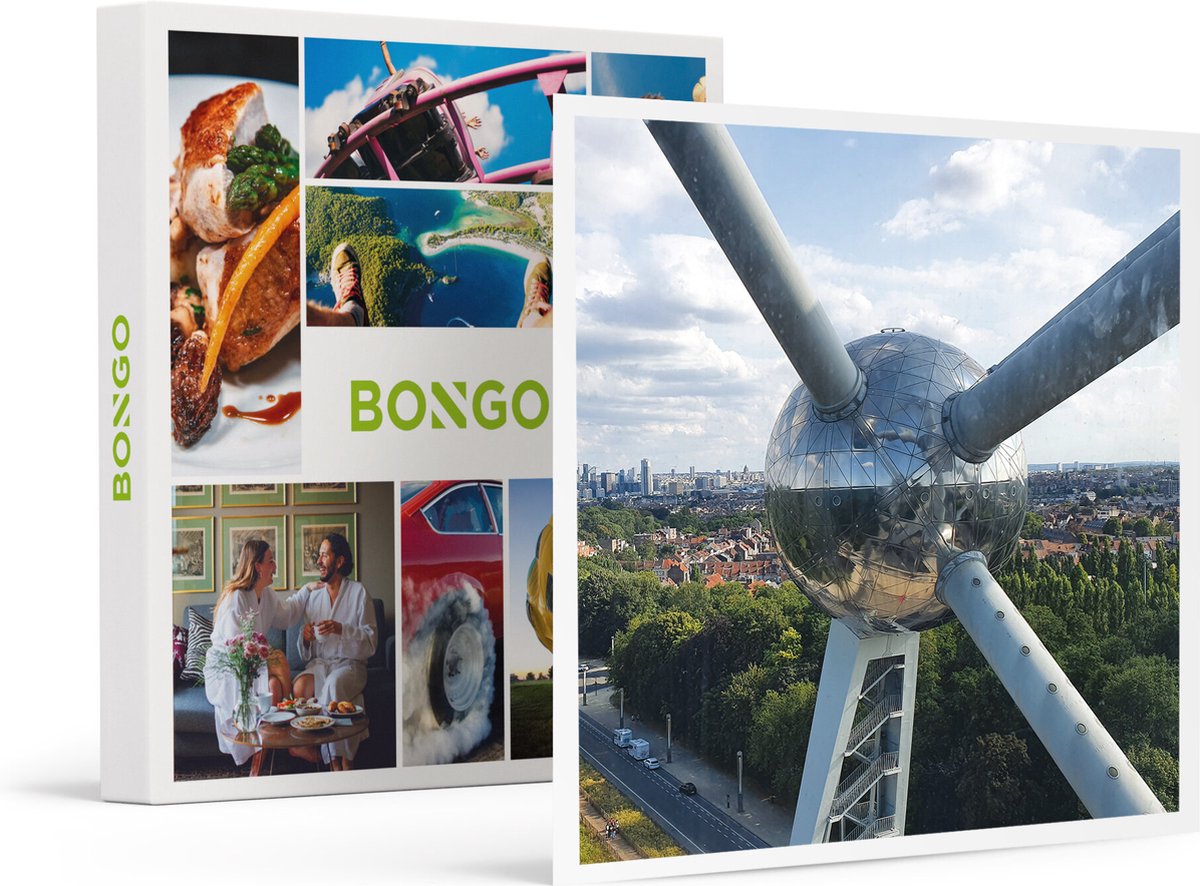 Bongo Bon -Iconisch Brussel: 3 Nachten Met Toegang Tot Het Atomium- Cadeaukaart