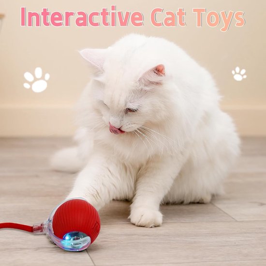 Interactieve