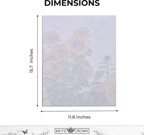 Bloem Schilderen op nummer volwassenen, cabine schilderen op nummer met lijst, doe-het-zelf knutselen voor volwassenen canvas kit met kwasten en acrylverf, verf op nummers, woondecoratie, geschenken