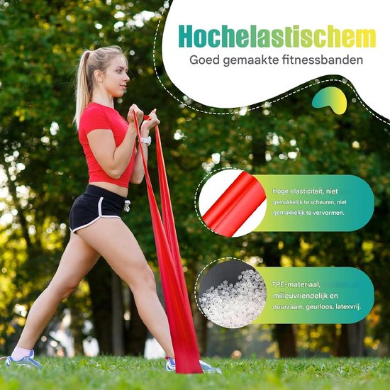 Fitense Resistance Bands, Set met Weerstandsbanden, Weerstandsbanden Fitnessbanden met Deurbevestiging, Fitnessband Trainingsbanden voor Yoga, Pilates, Training, Fysiotherapie,Krachttraining