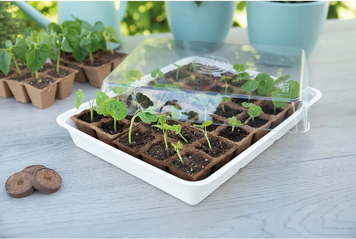 Ferrarium kweekkas incl 30 turfpotjes - kweekkas - DIY kweken - kweekpotjes
