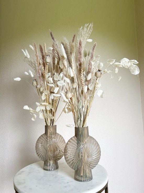 Droogbloemen – Boeket madelief incl. schelpvaas - La Florista - Witte droogbloemen - Natural - Neutrale droogbloemen - Beige droogbloemen