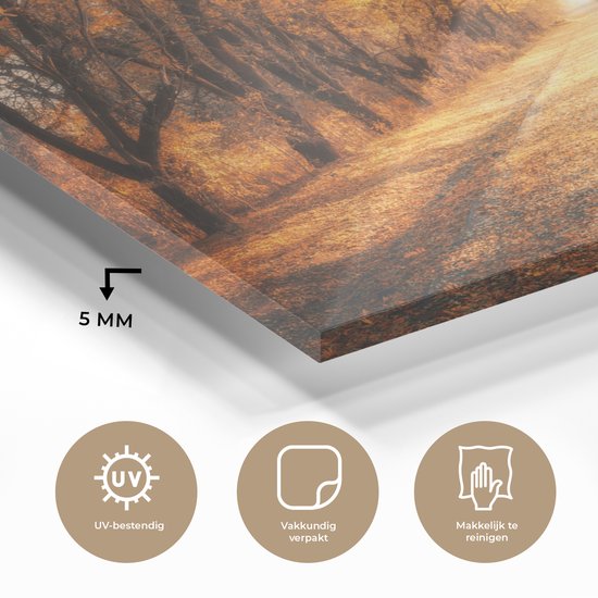 MuchoWow® Peinture sur verre 150x100 cm - Peinture sur verre acrylique - Forêt - Automne - Arbres - Chemin forestier - Nature - Photo sur verre - Décoration murale salon - Décoration murale chambre - Peintures