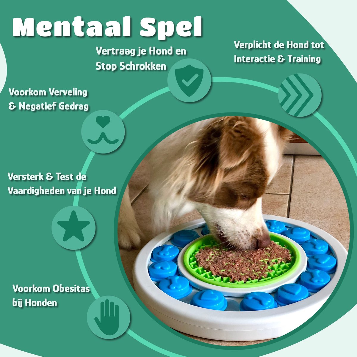 Mister Mill Puzzel Hond - Intelligentiespeelgoed Hond / Kat - Interactieve Hondenpuzzel - Denkspel Hond - Level 1 - Donut - Interactieve Hond - Interactief Kattenspeelgoed - 30 x 30 CM — afbeelding 5