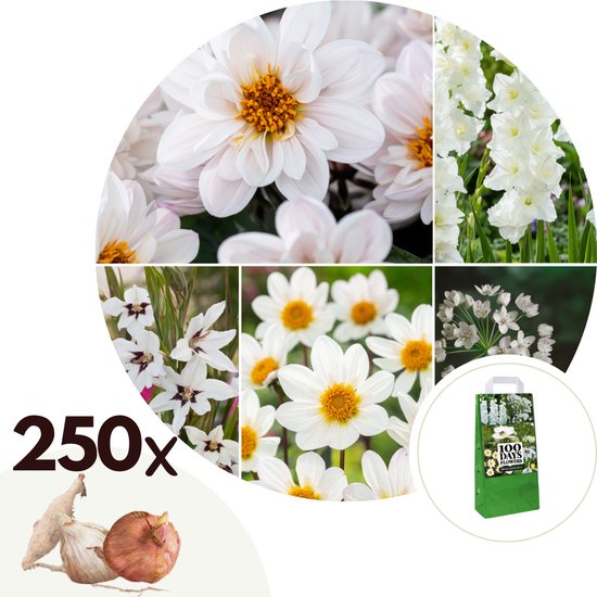 Plant in a Box - Bulb Garden White - Bollenmix - 250 stuks - Mix van ...