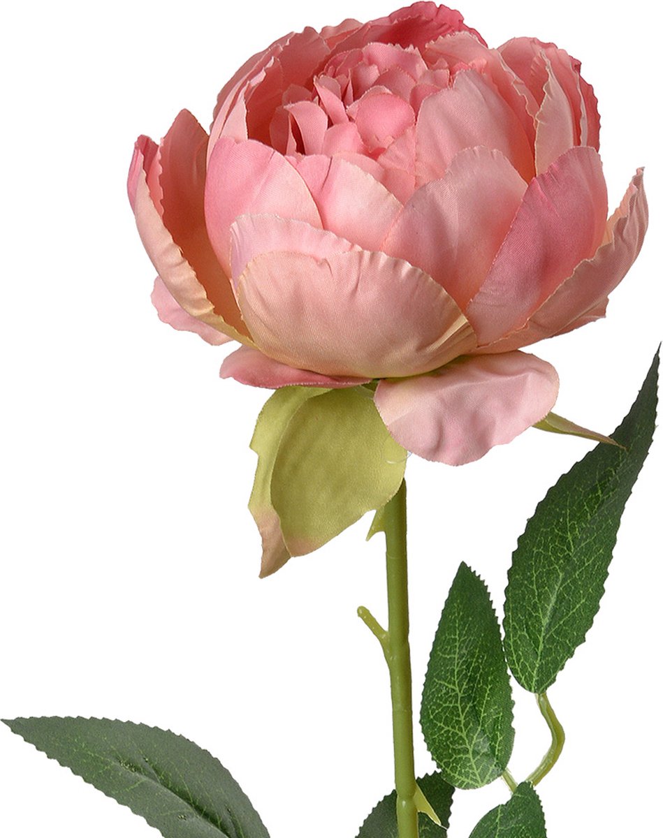 Clayre & Eef Kunstbloem Roos 62 cm Roze Kunststof