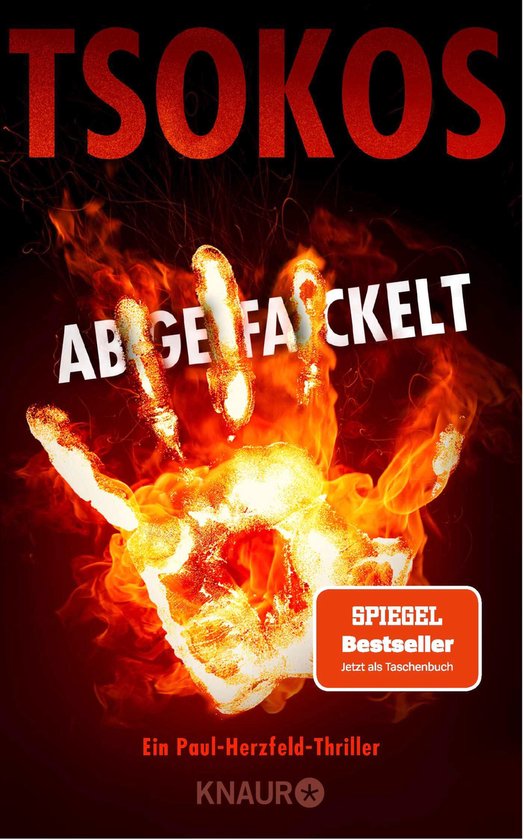 Die Paul Herzfeld-Reihe 2 - Abgefackelt - cover