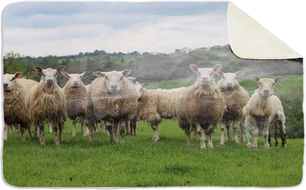 Fleecedeken Kudde schapen, 96x146cm, Polyester Sherpa
