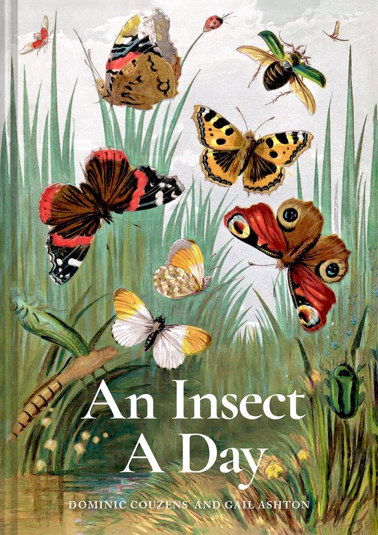 A Day-An Insect A Day