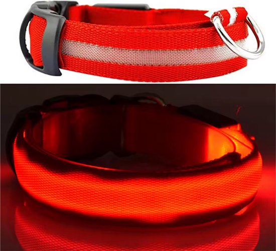 New Age Devi - Collier pour chiens - Rouge - XS - Lumineux - Collier Puppy - Colliers - Collier pour chien avec lumière - Lumière dans le noir - Colliers pour chiens
