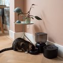 Een cyperse kat eet uit een automatische voerbak in een woonkamer.