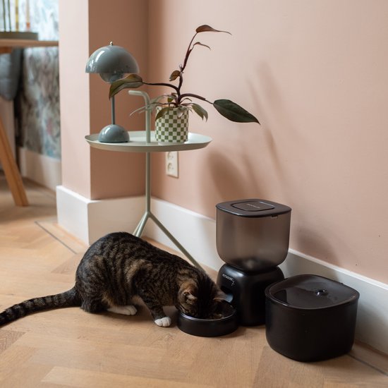 Een cyperse kat eet uit een automatische voerbak in een woonkamer.