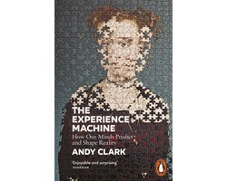 The Experience Machine