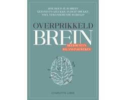 Overprikkeld brein