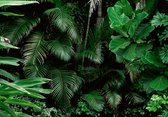 Fotobehang - Vlies Behang - Botanische Bladeren en Planten - Jungle - 416 x 254 cm