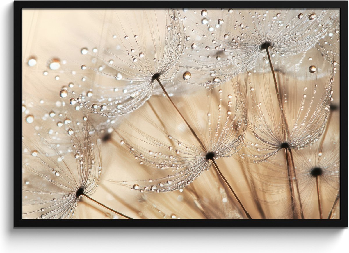 FrameYourWall Poster in lijst - Fotolijst 90x60 cm - Posters - Paardenbloem - Abstract - Natuur - Beige - Posterlijst zwart - Decoratie - Wanddecoratie woonkamer - Muurdecoratie slaapkamer Paardenbloem - Water