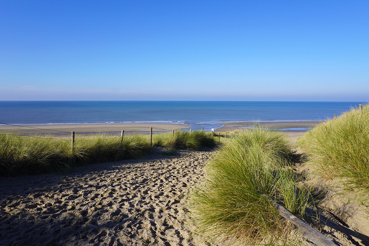 Texelphotos.nl - Foto afdruk als tuinposter – Texel Duinpad - Duinen - Strand - Zee - Zonsondergang - Noordzee – Wanddecoratie - Tuinposter – Natuur - Landschap - 90 x 60 cm.