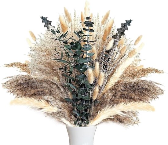 Gedroogde Eucalyptus (Biologisch) • Pure Naturals