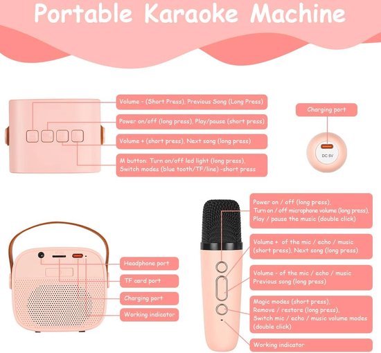 HWWR Karaoke-machine Karaoke-systeem met 2 microfoons voor volwassenen & kinderen Bluetooth-luidspreker met voorversterker voor microfoons, draagbare Bluetooth party karaoke box - cadeau
