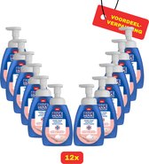 12x Blue Wonder desinfecterende handzeep 225 ml - Voordeelverpakking!