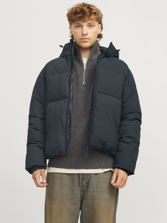 JACK&JONES JORVESTERBRO PUFFER JACKET AW24 SN Heren Puffer jacket - Forest River