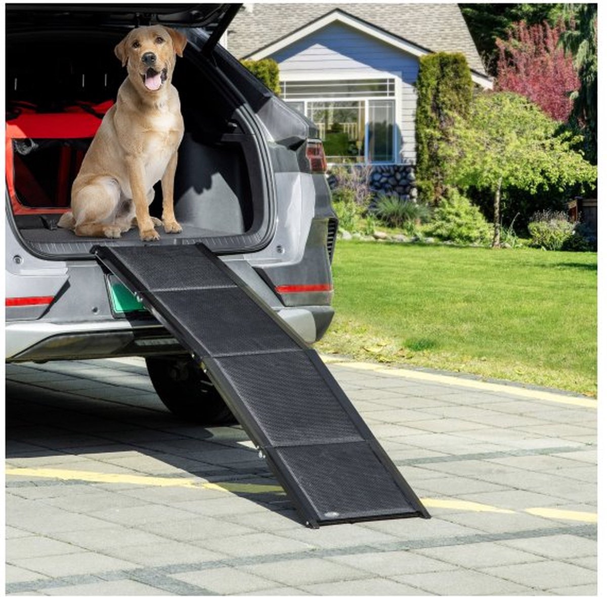 Hondenoprit – Opvouwbaar - Anti-slip – Zwart