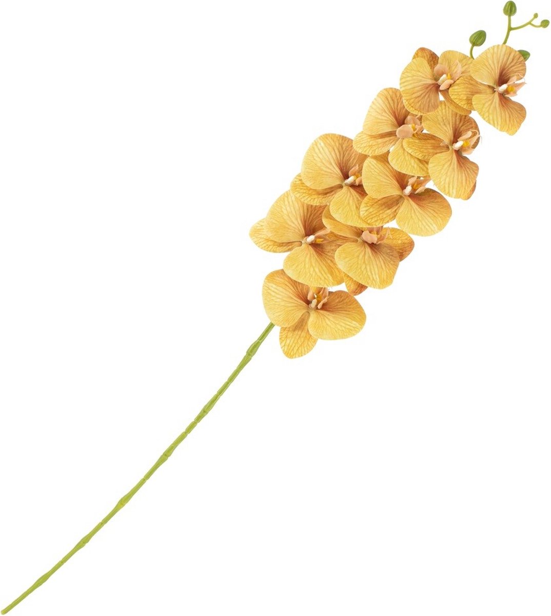 homebound by ky Kunstbloem orchidee oranje | kunstbloem