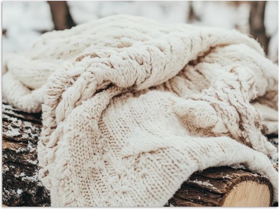 Poster 40x30 cm - Deken - Wit - Boomstronk - Winter - Sneeuw - Posters - Kamer decoratie - Wanddecoratie woonkamer - Muurdecoratie slaapkamer