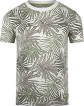 Koko Noko Jongens T-shirt - Light faded green