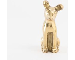 foto van Sissy-Boy - Goudkleurige kandelaar hond