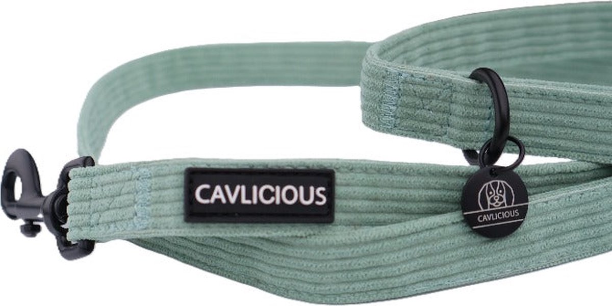 X-TRA Corduroy Leash
