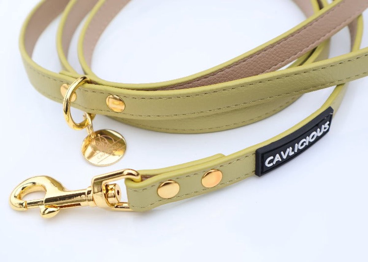 VEGAN Leash