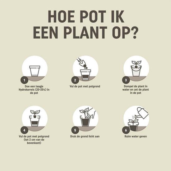 Pokon Universele Potgrond - 70l - Voor binnen en buiten - 60 dagen voeding - Potgrond universeel