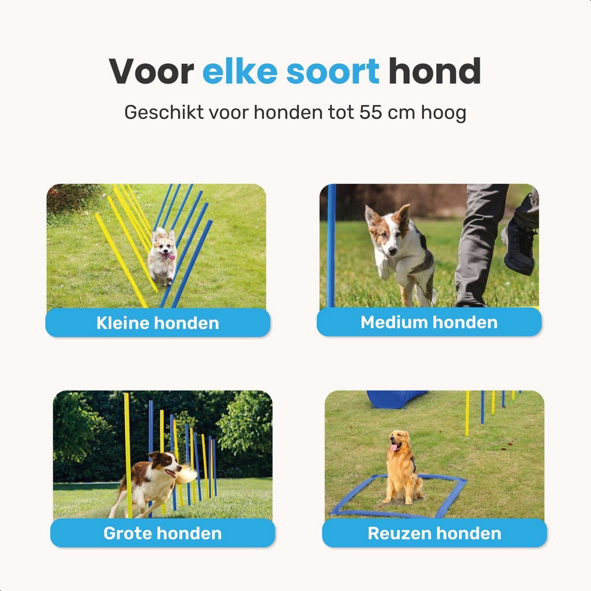 Agility Slalom set 6 delig voor de hond - 100 cm hoog - agility set