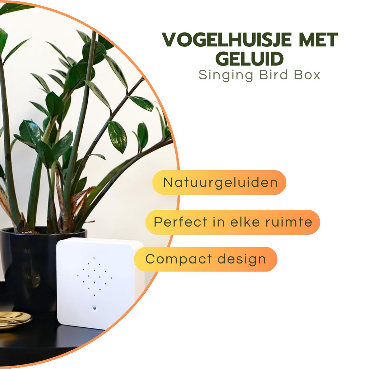 Bewegingsmelder Met Vogelgeluiden – Houten Design, 3 AAA-batterijen – Voor Ontspanning In Huis, Toilet Of Hal