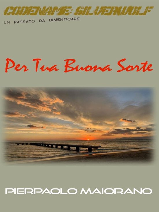 Codename: Silverwolf - Un passato da dimenticare 1 - Per tua ... - cover