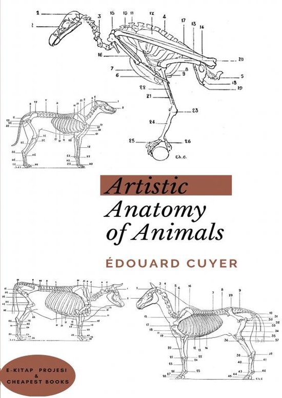 Artistic Anatomy of Animals - cover