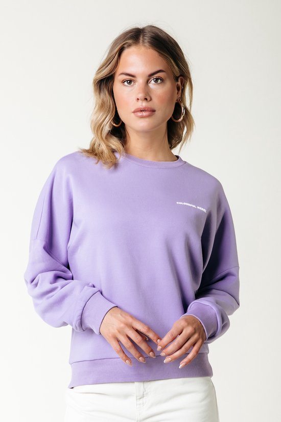Colourful Rebel Multi Racer Logos Dropped Shoulder Sweat- M
