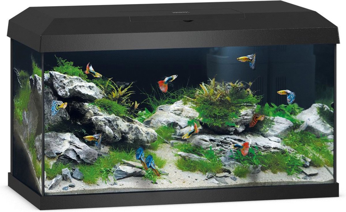 Juwel Primo Aquarium 60L Zwart
