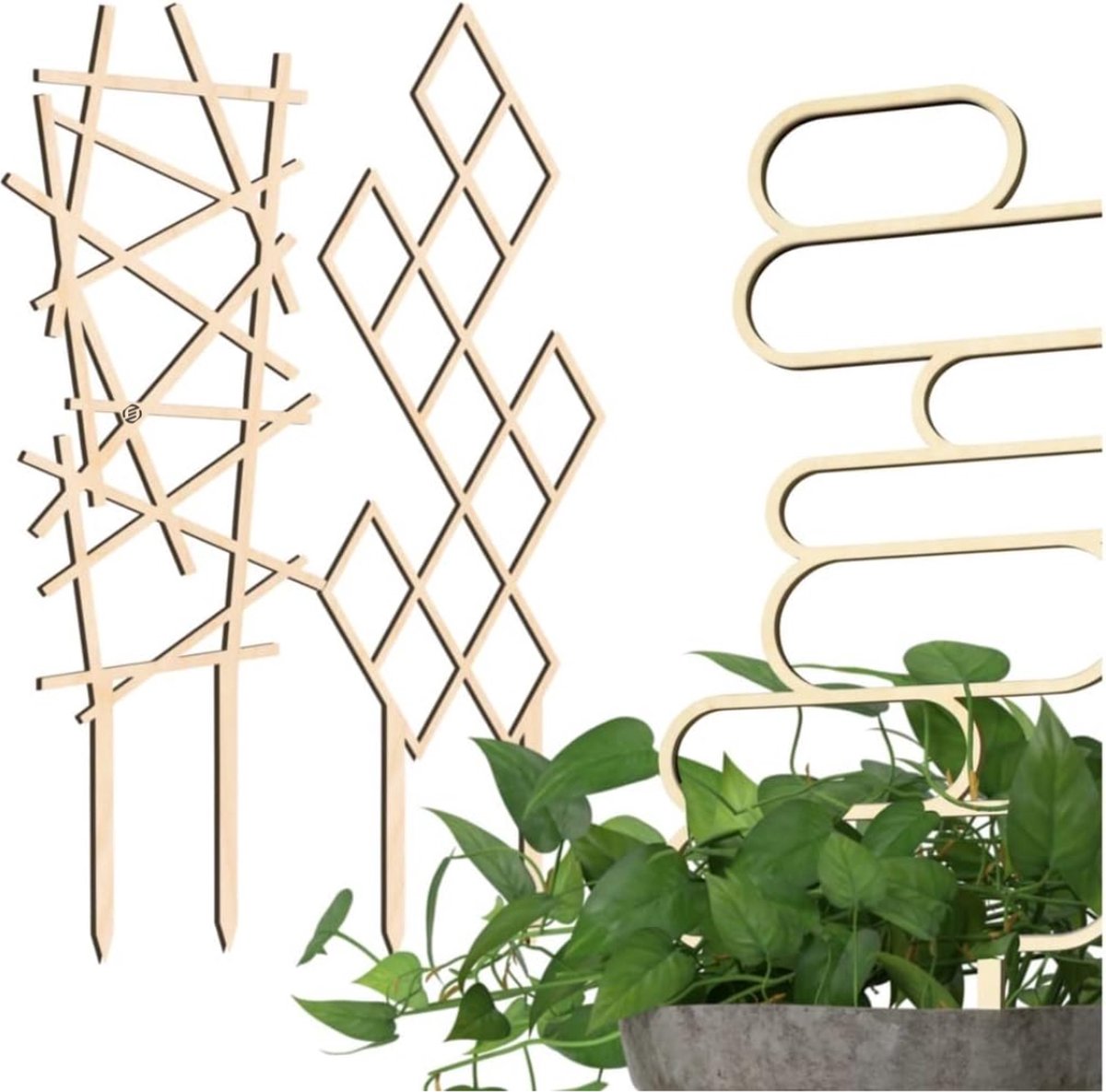 Equivera Klimrek Planten - Klimrek Planten Buiten Muur - Klimrek Planten Buiten - Klimrek Planten Tuin - Klimrek Nature - Plantenklimrek - Klimrek voor Planten - Must Have voor in de Tuin!