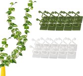 Pinces pour plantes - Guide pour plantes grimpantes - Fixation - Support pour plantes - Pinces de Jardin - Organisateur de câbles - Pinces murales pour plantes - Multi usages - Réutilisables - Auto-adhésives - Vert/ Wit