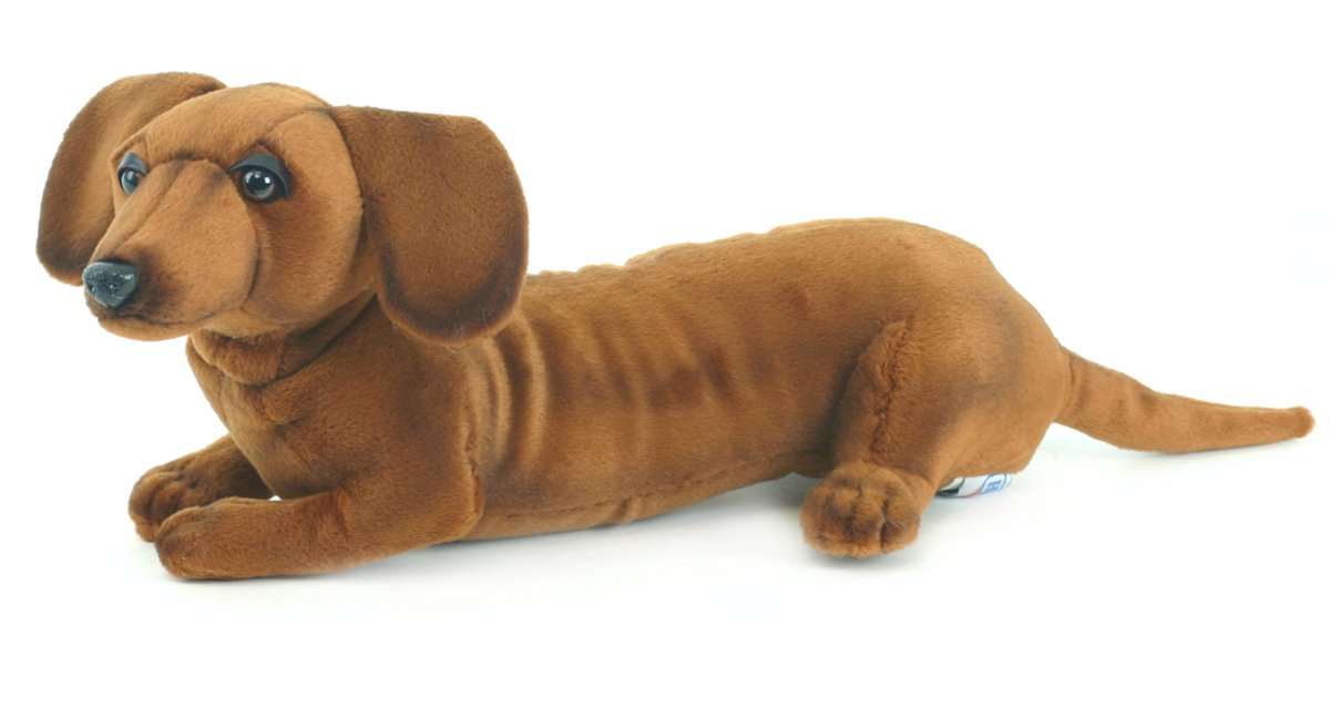 knuffel Teckel hond - 40 cm - pluche - knuffelhond - knuffeldier - realistische knuffels