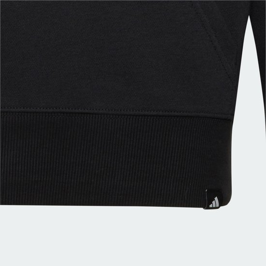 Adidas Performance Audi Revolut F1 Team Gabriel Bortoleto Graphic Ii Hoodie - Kinderen - Zwart van adidas Performance — afbeelding 4