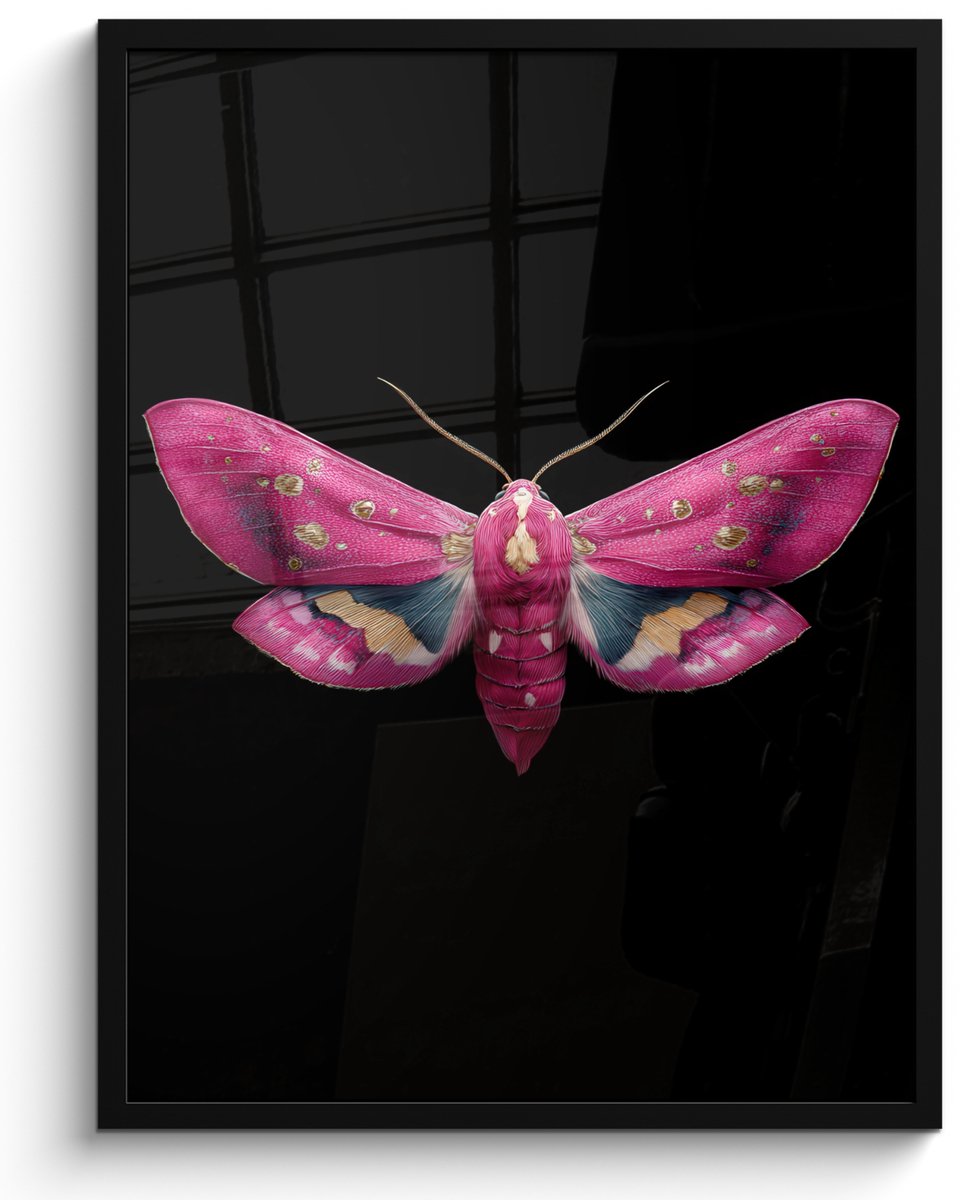 FrameYourWall Poster in lijst - Fotolijst 50x70 cm - Posters - Vlinder - Roze - Nachtvlinder - Posterlijst zwart - Decoratie - Wanddecoratie woonkamer - Muurdecoratie slaapkamer