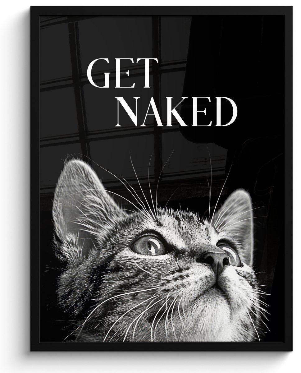 Poster in lijst - Fotolijst 50x70 cm - Posters - Kat - Dieren - quote - Get naked - Zwart