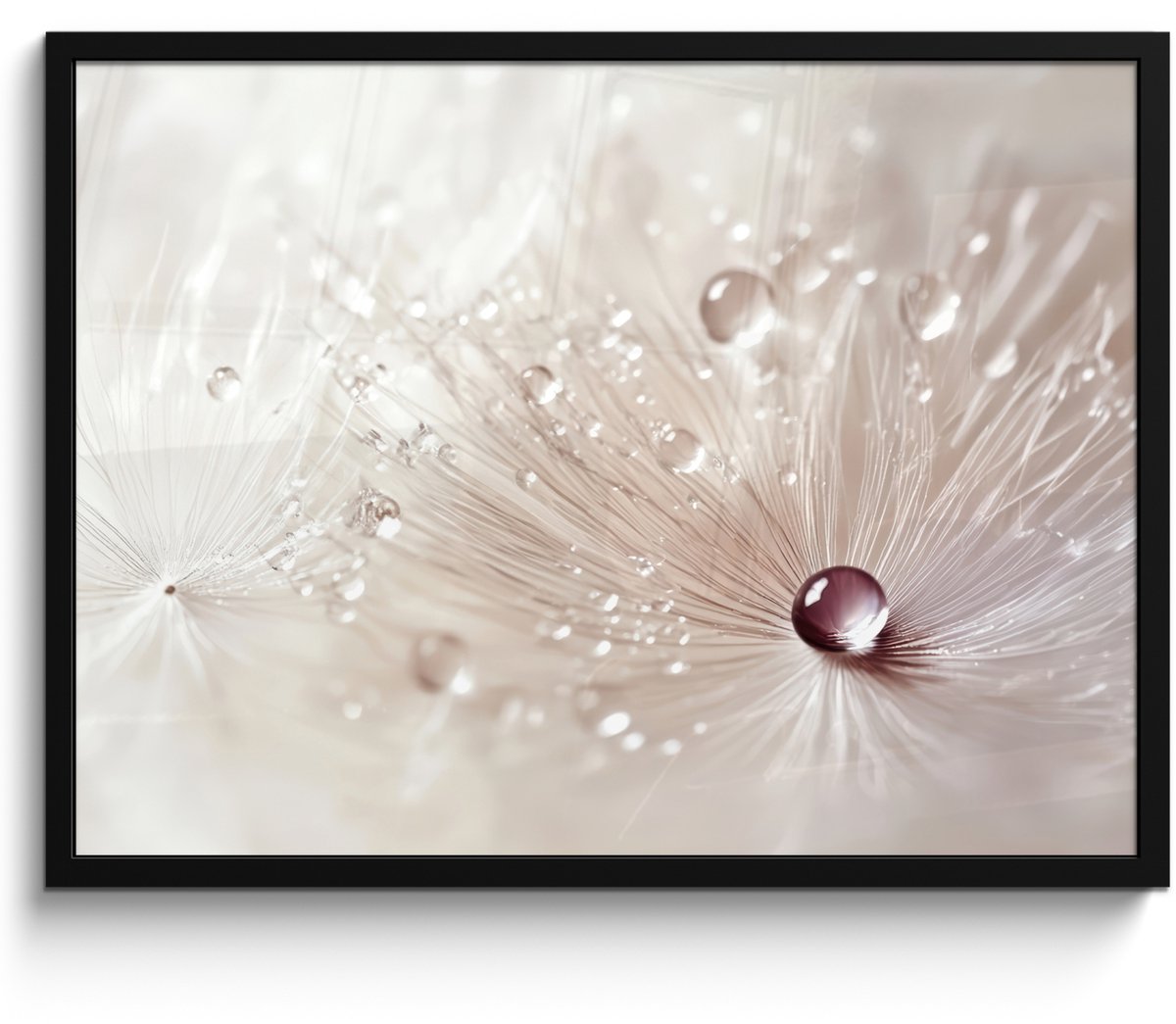 FrameYourWall Poster in lijst - Fotolijst 70x50 cm - Posters - Bloem - Abstract - Wit - Water - Natuur - Posterlijst zwart - Decoratie - Wanddecoratie woonkamer - Muurdecoratie slaapkamer Paardenbloem - Abstract