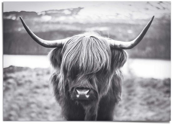 Affiche XXL Highlander écossais