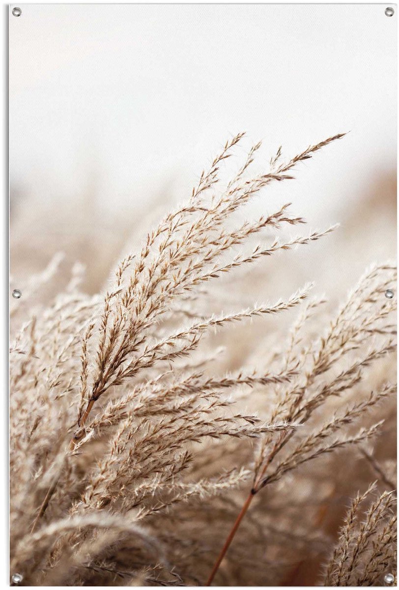 Tuinposter Helmgras - 120 x 80 - Canvas - REINDERS