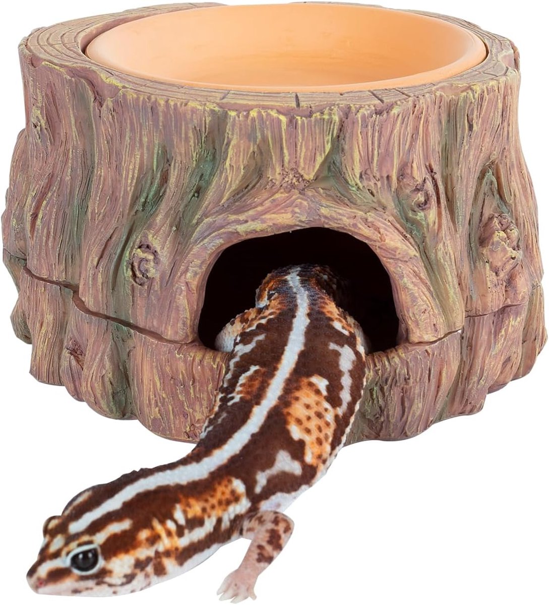 Reptiel Verberg Grot - Terrarium Huisje - Veilig Schuilplek - Met Vochtigheidsbakje - 16 x 15 x 9 cm - Bruin